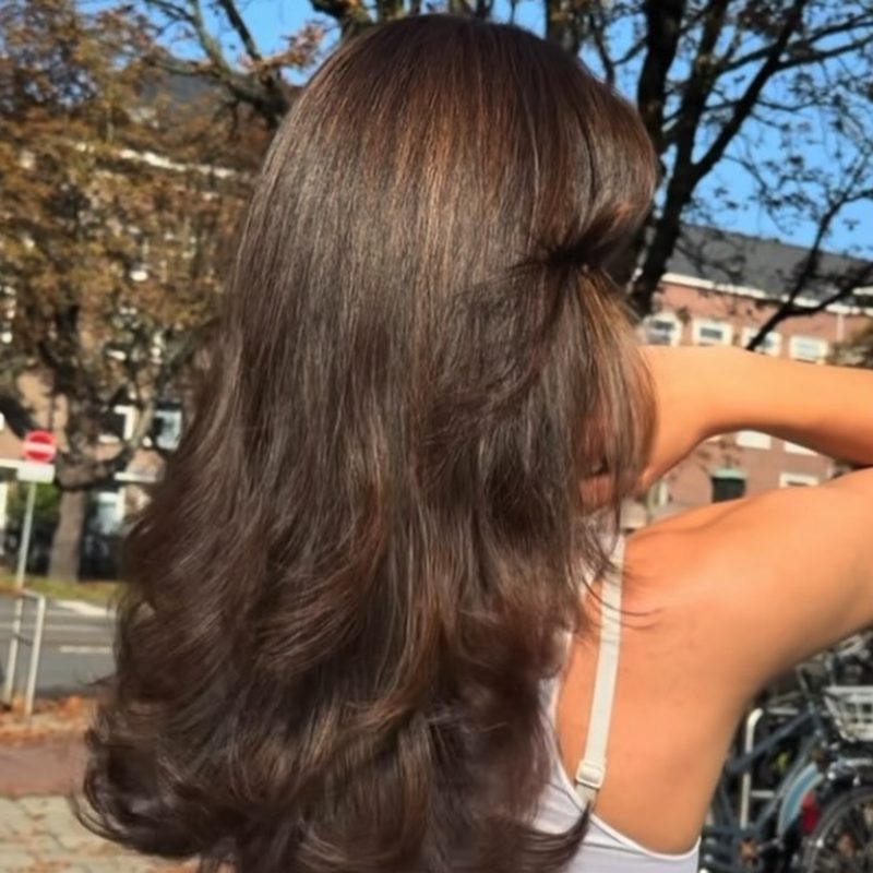 Donkerbruin met volume
